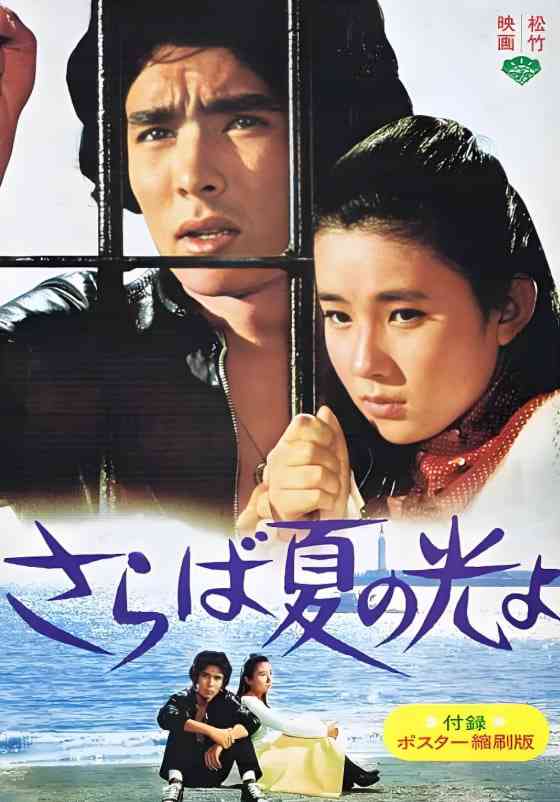 《再见，夏日之光》最新免费高清电影无广告在线播放|剧情,爱情·日本·1976