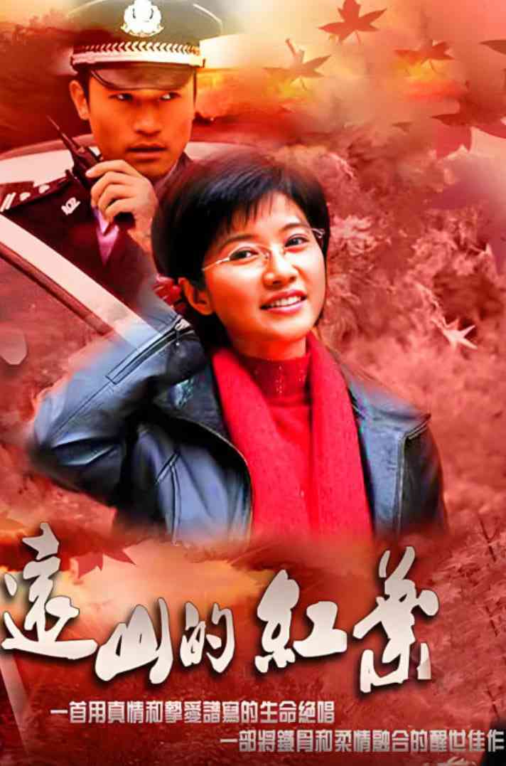 《远山的红叶》全集免费高清电视剧无广告在线播放|剧情,传记·中国大陆·2010