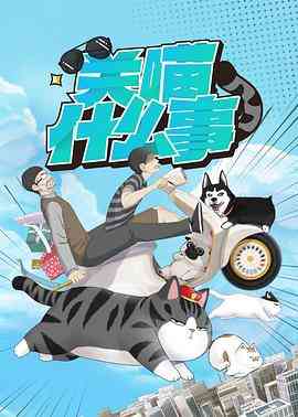 《关喵什么事》全集免费高清动漫无广告在线播放|中国动漫·中国大陆·2023