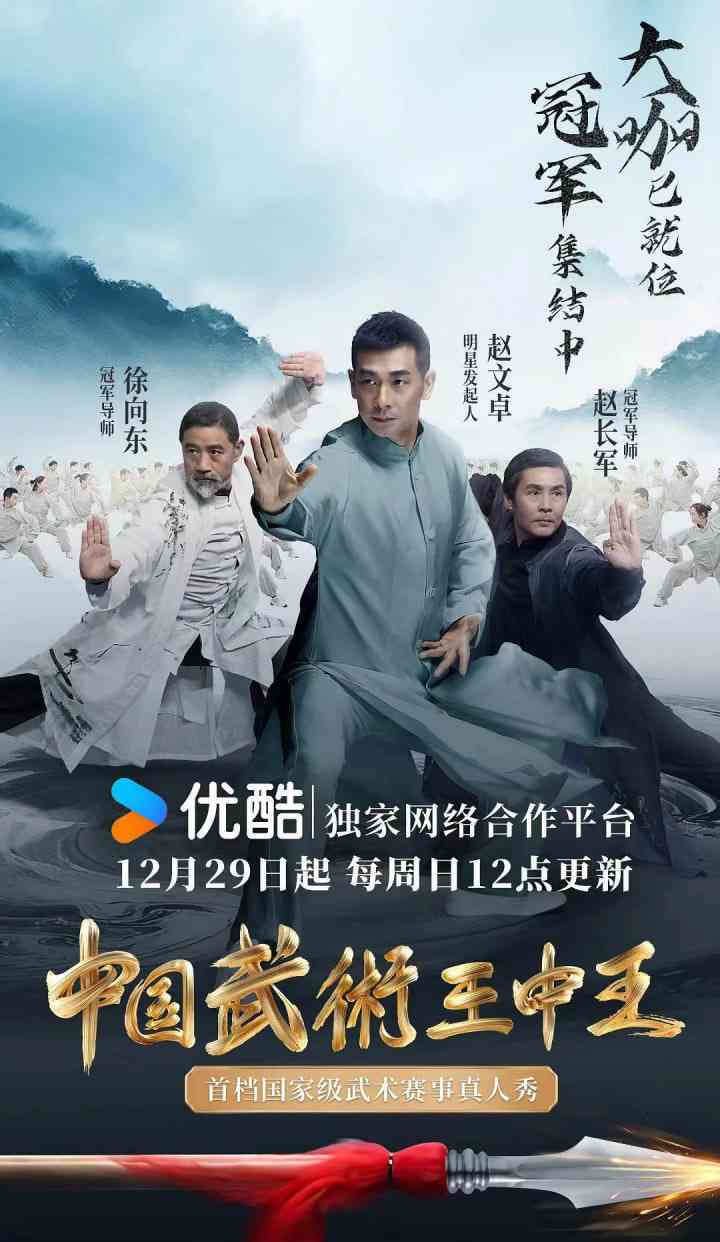 《中国武术王中王》全集免费高清综艺无广告在线播放|真人秀·中国大陆·2024