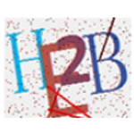 《验证码自动输入软件v1.1.1》软件免费下载|系统工具·1.1.1