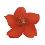 《小红花直播音效助手v11.4.3》软件免费下载|系统工具·11.4.3