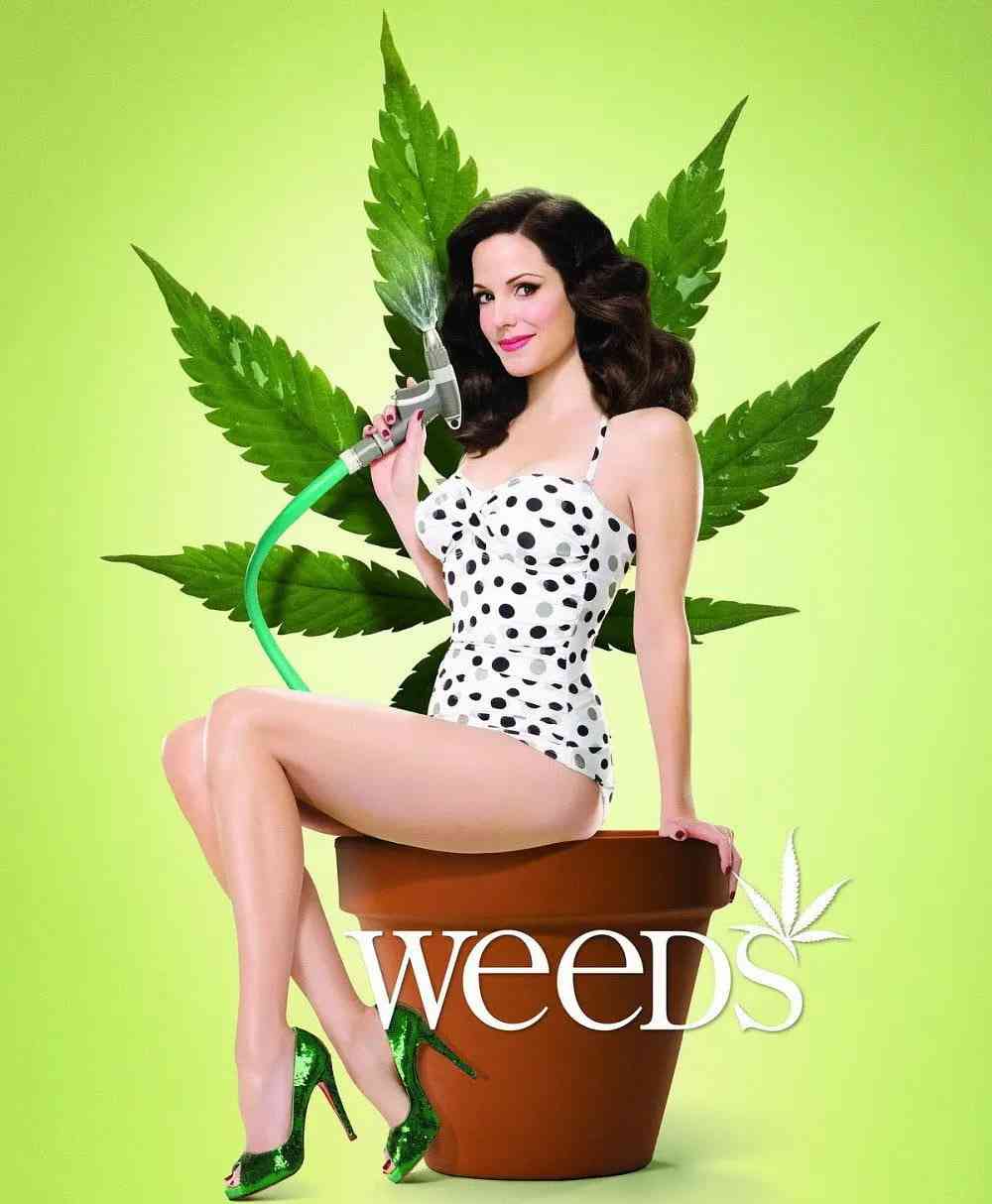 《单身毒妈 第四季》全集免费高清电视剧无广告在线播放|剧情,喜剧,家庭,犯罪·美国·2008