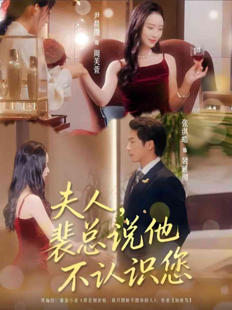 《夫人裴总说他不认识您》全集免费高清短剧无广告在线播放|短剧·中国大陆·2025