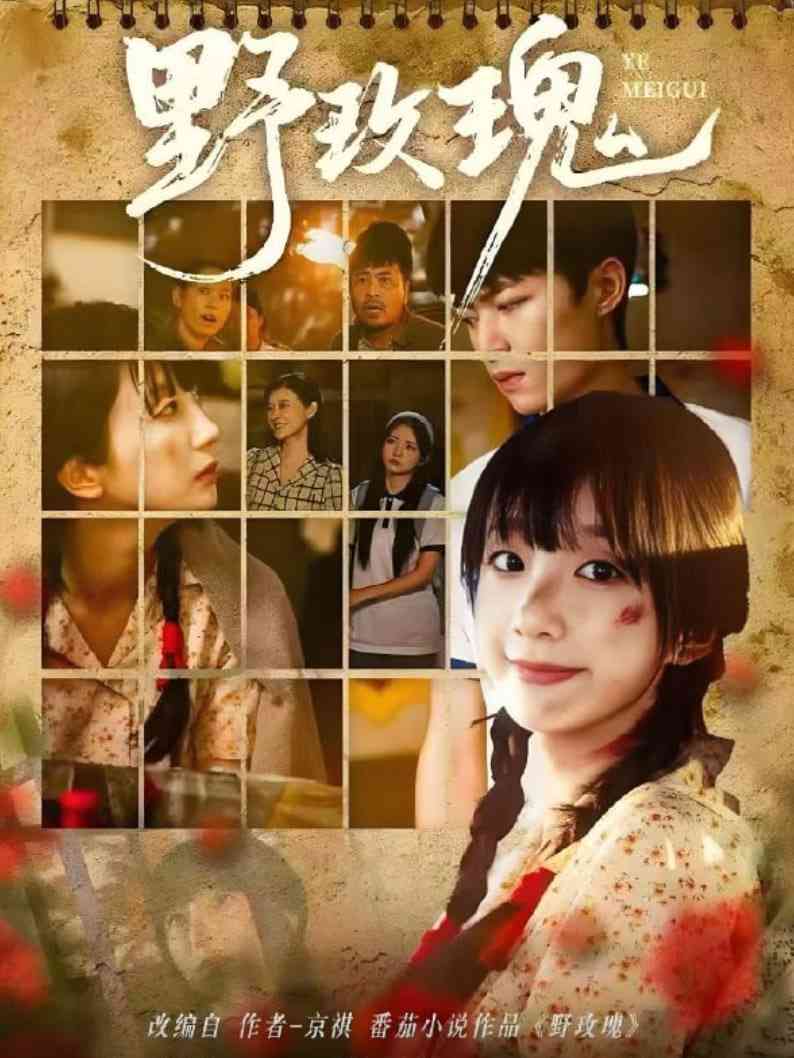 《野玫瑰》全集免费高清短剧无广告在线播放|短剧·中国大陆·2025